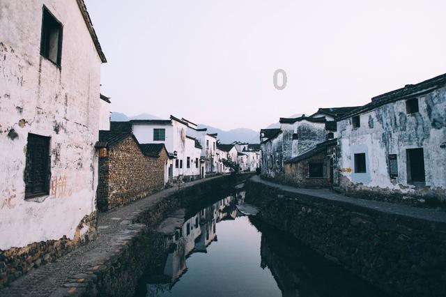 奥日与黑暗森林