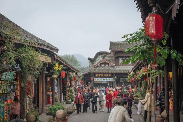 逃出茂密的丛林